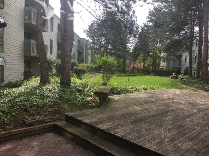 260405203805_IMG_ inside courtyard 1.JPG